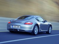 porsche_cayman_rear.jpg