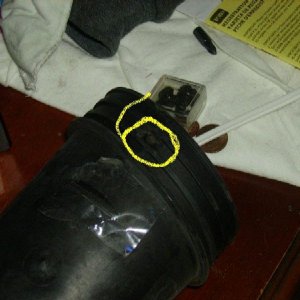 Copy of PICT0458.JPG