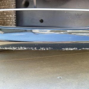 P1000004 (800x600).jpg