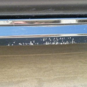 P1000005 (800x600).jpg