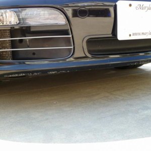 P1000006 (800x600).jpg