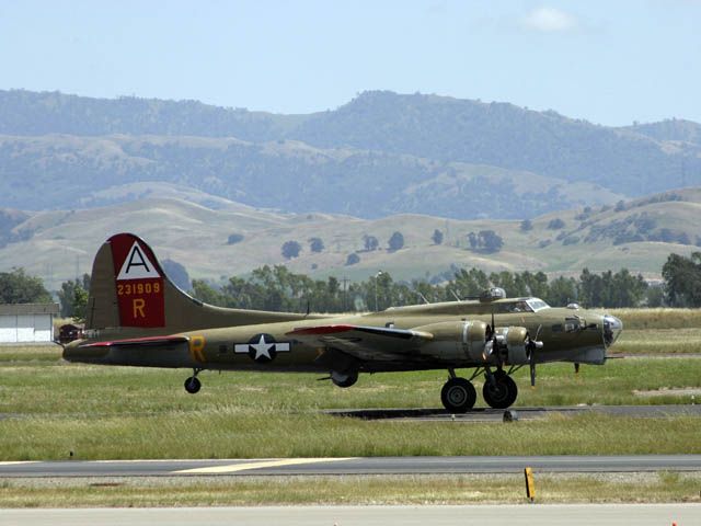 B17.jpg