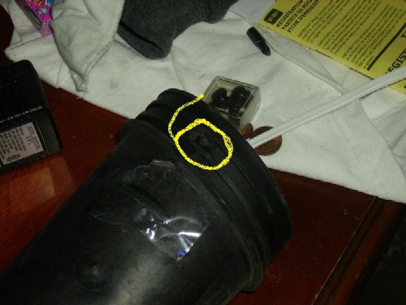 Copy of PICT0458.JPG